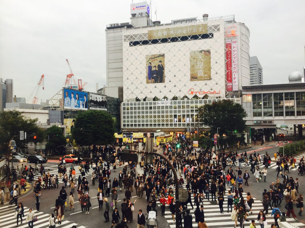 6 day tokyo itinerary