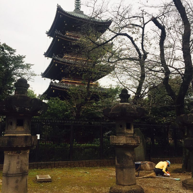 6 day tokyo itinerary