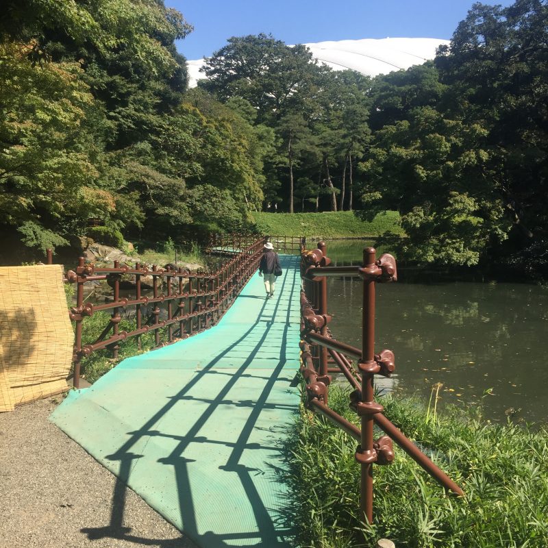 6 day tokyo itinerary