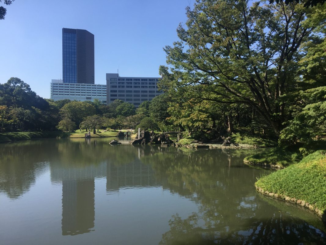 6 day tokyo itinerary