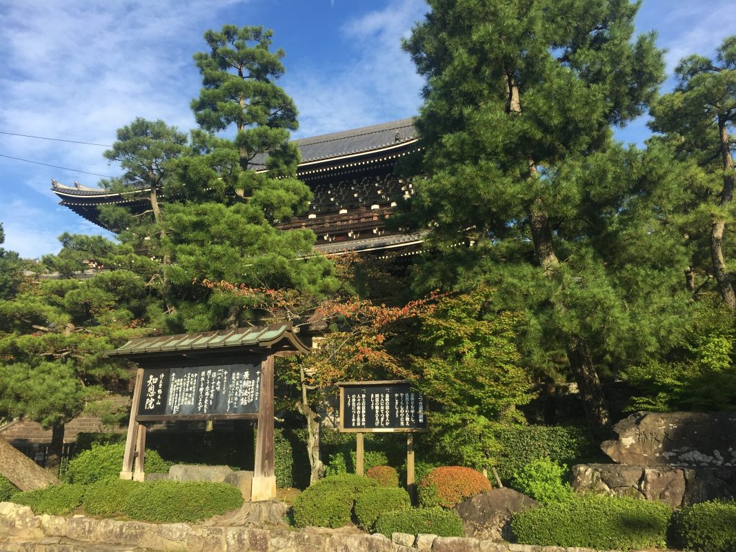 restaurants and bars in tokyo