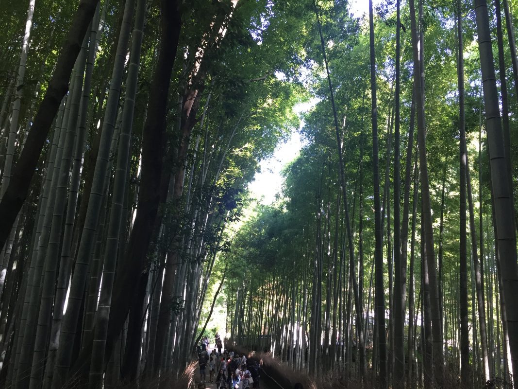 6 days in kyoto