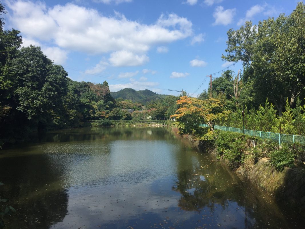 6 days in kyoto