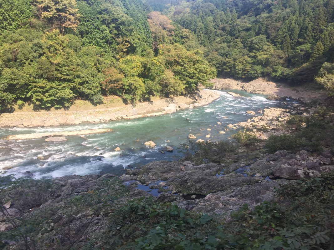 6 days in kyoto