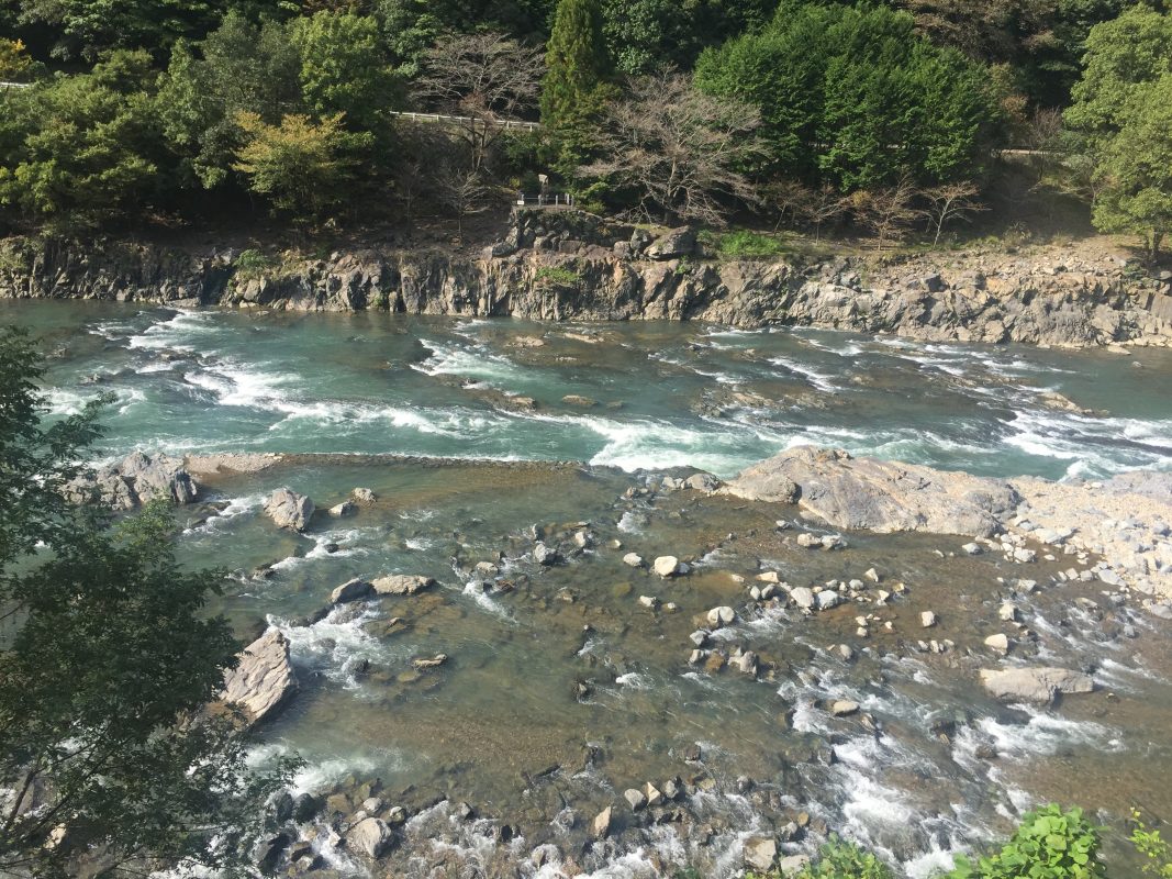 6 days in kyoto