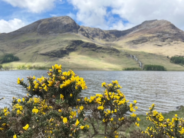 6 days in the lake district