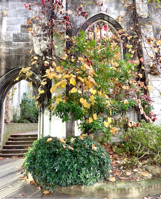 places to visit in the city