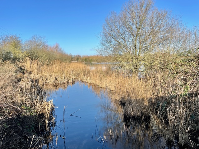 rye nature reserve ware