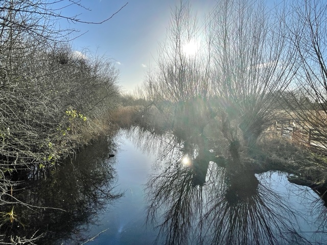 rye nature reserve ware