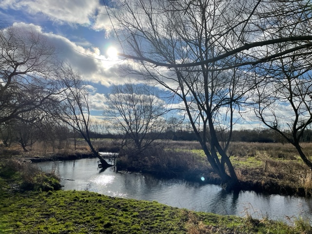 Pishiobury Park 