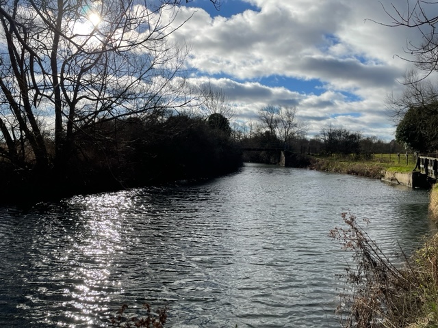 Pishiobury Park 