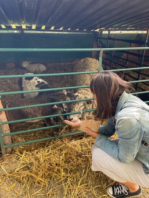 daisy mays farm