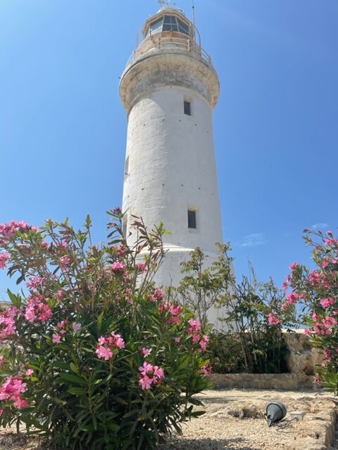 things to do in paphos harbour