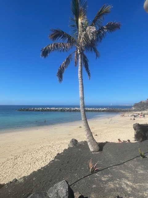playa flamingo lanzarote