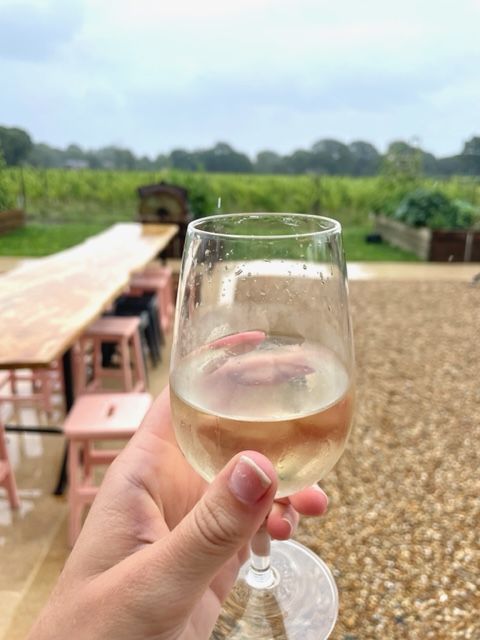 vineyard in sussex