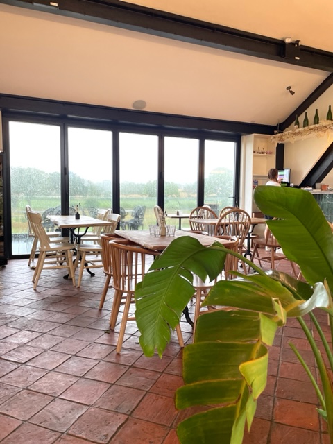 kinsbrook vineyard in pulborough 