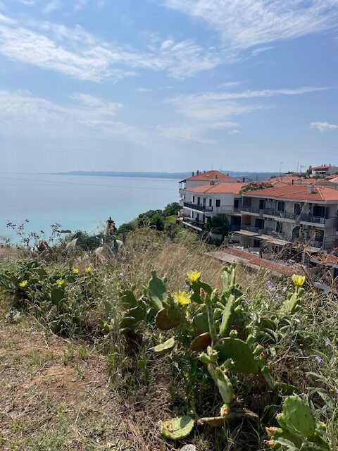 visiting halkidiki