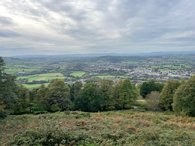 things to do in the forest of dean