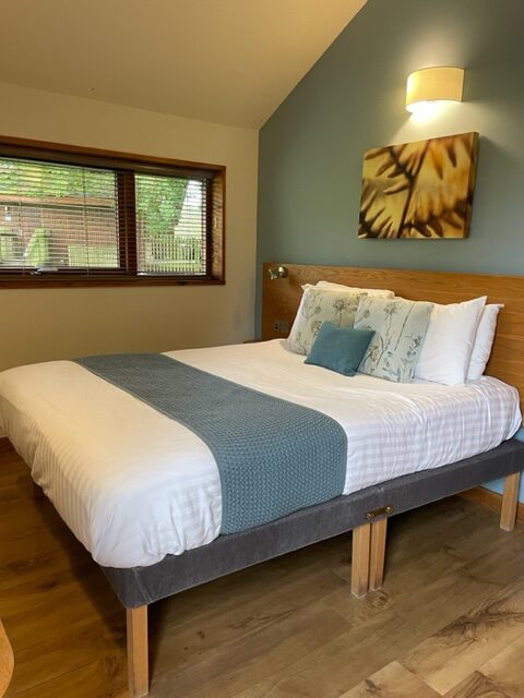 log cabin in the forest of dean
