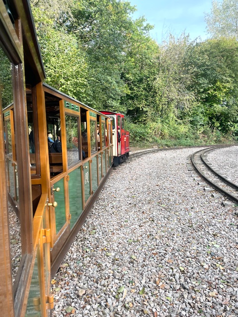 things to do in the forest of dean