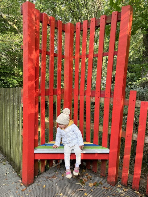 things to do in the forest of dean