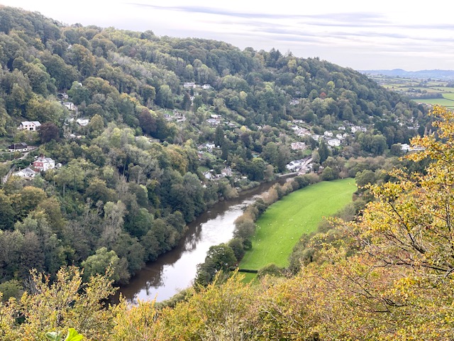 things to do in the forest of dean