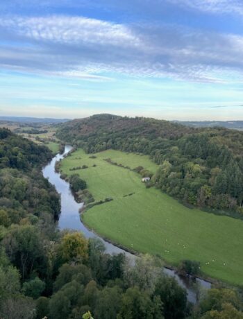 things to do in the forest of dean