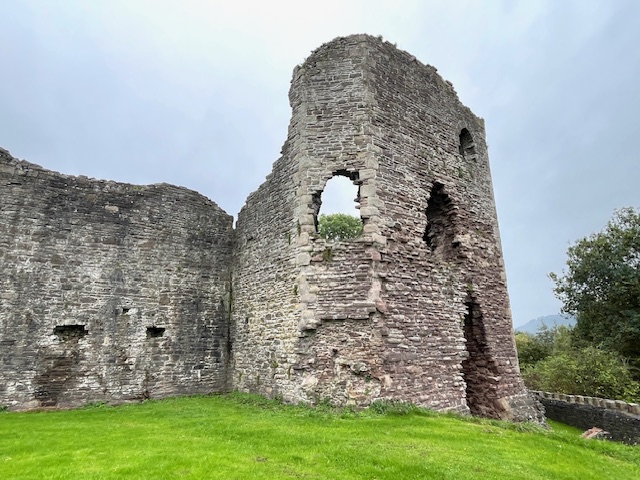 things to do in the forest of dean