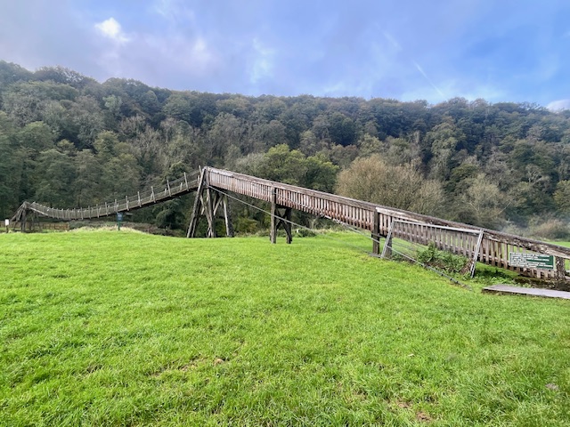 things to do in the forest of dean
