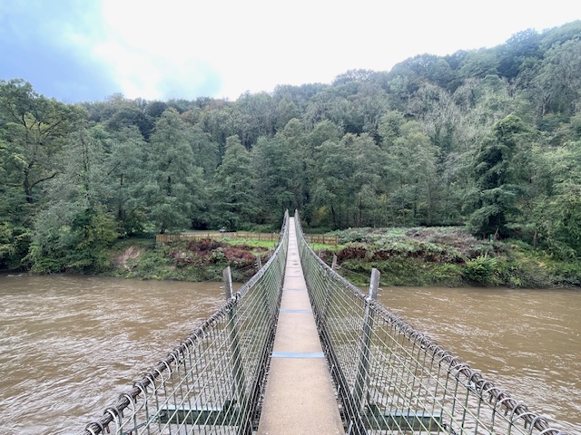 things to do in the forest of dean