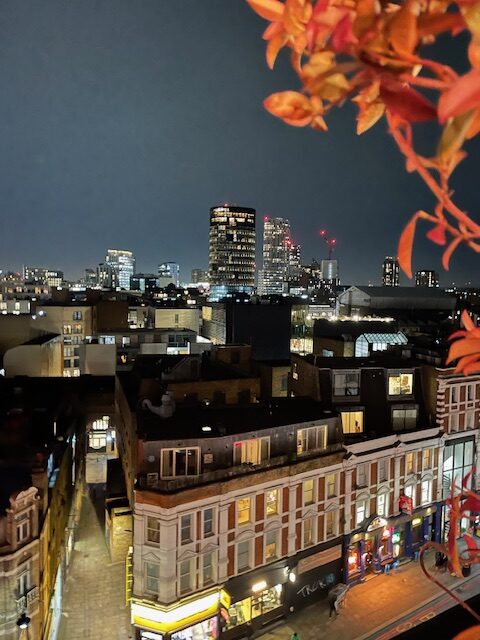 rooftop restaurant in shoreditch