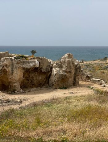 things to do in paphos