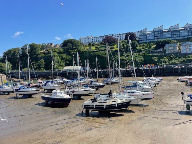 things to do in north devon 