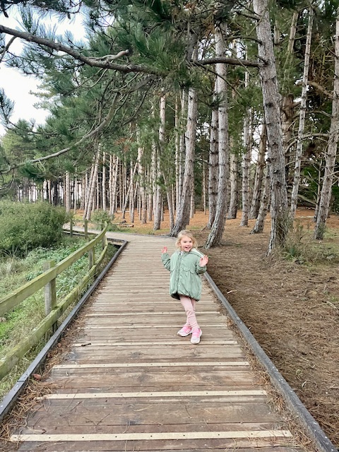 best things to do in norfolk