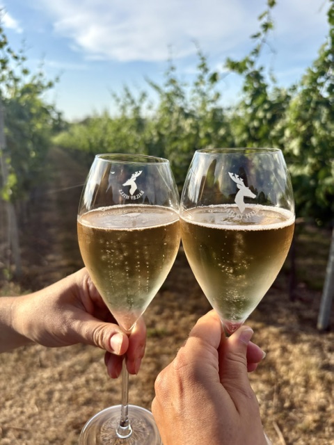 bailey hills estate vineyard bishops stortford