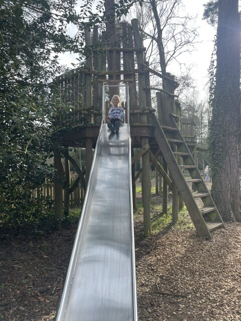 best things to do in norfolk
